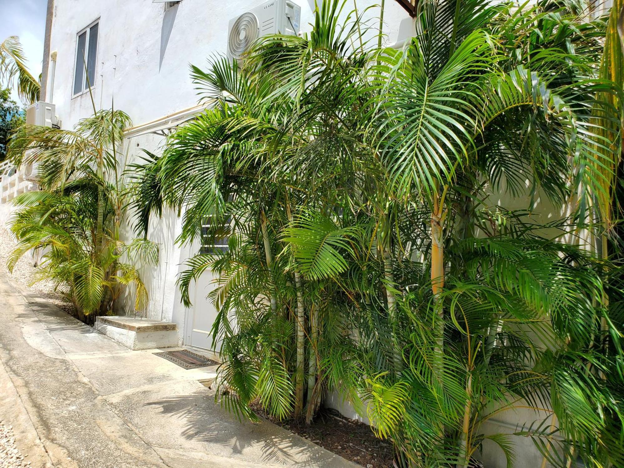 Grand Sun Valley Residences Willemstad Exteriér fotografie